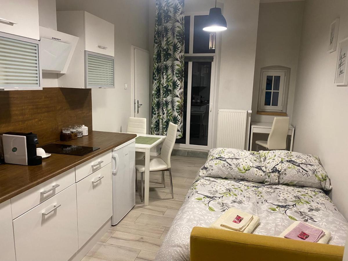 Apartmán Przytulna Kawalerka 10Min Pieszo Od Dworca/Galerii Katovice Exteriér fotografie