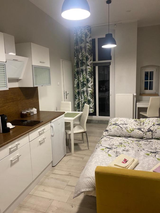 Apartmán Przytulna Kawalerka 10Min Pieszo Od Dworca/Galerii Katovice Exteriér fotografie